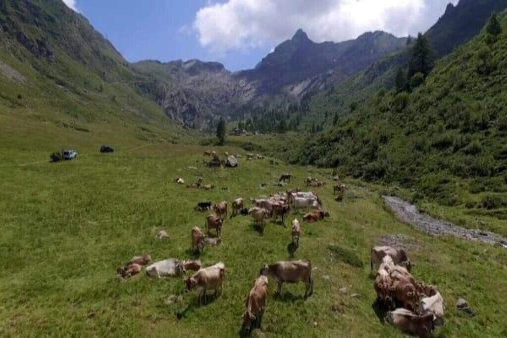 Photo of Outdoor in Pasturo