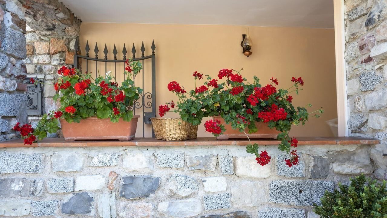 Photo of Outdoor in Vesio
