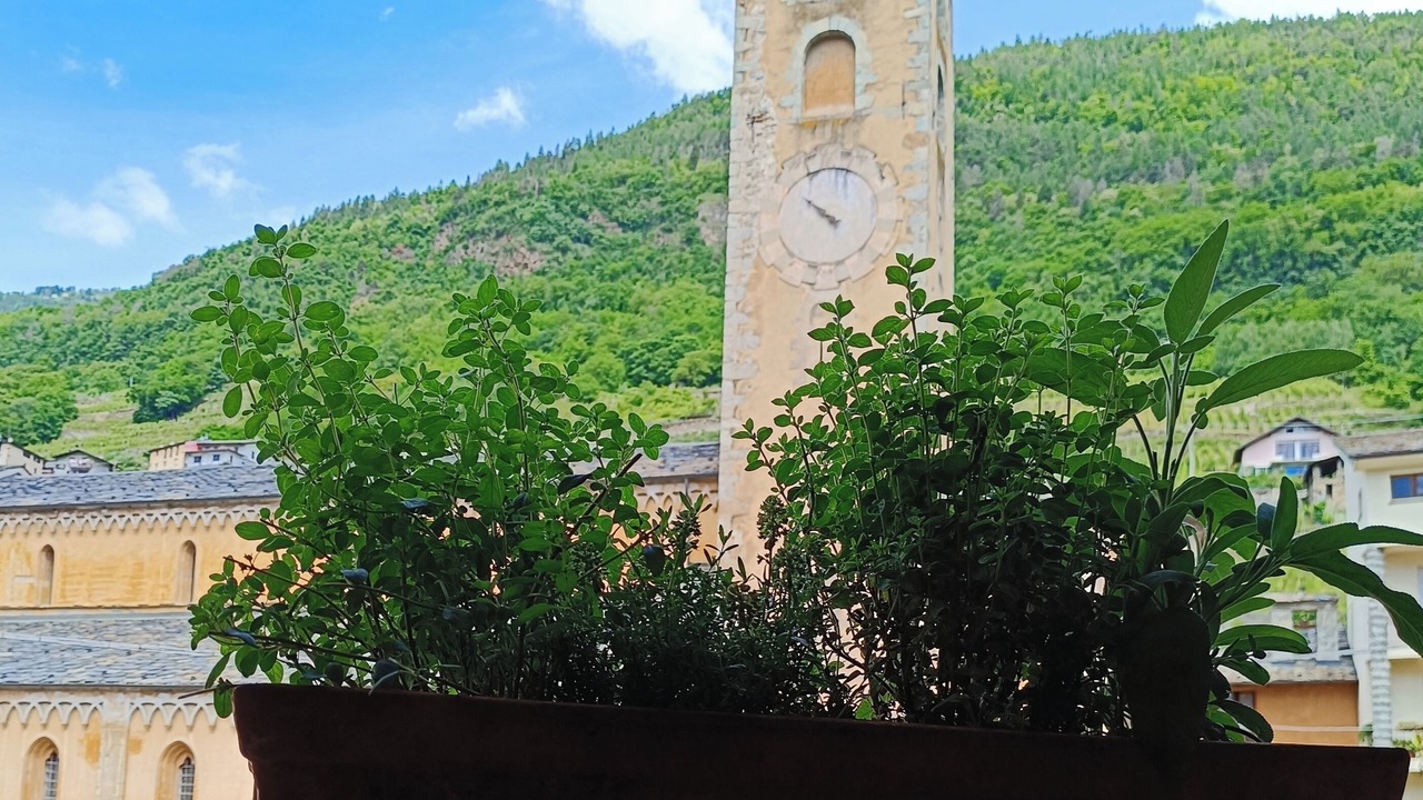 Photo of Others in Ponte in Valtellina