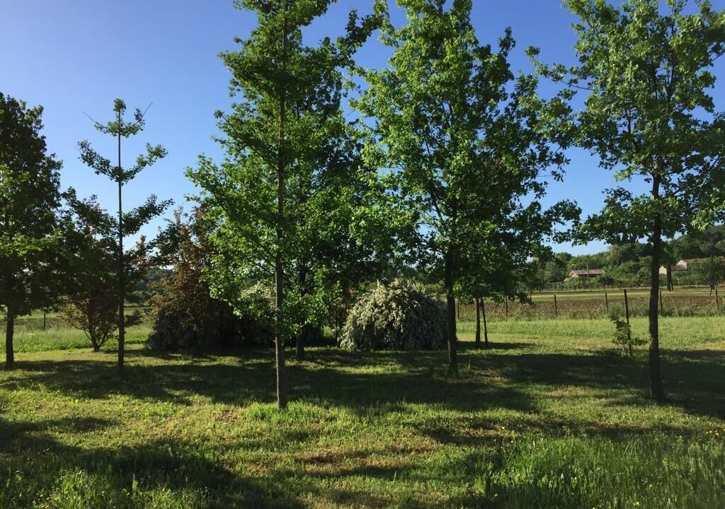 Photo of Outdoor in Volta Mantovana