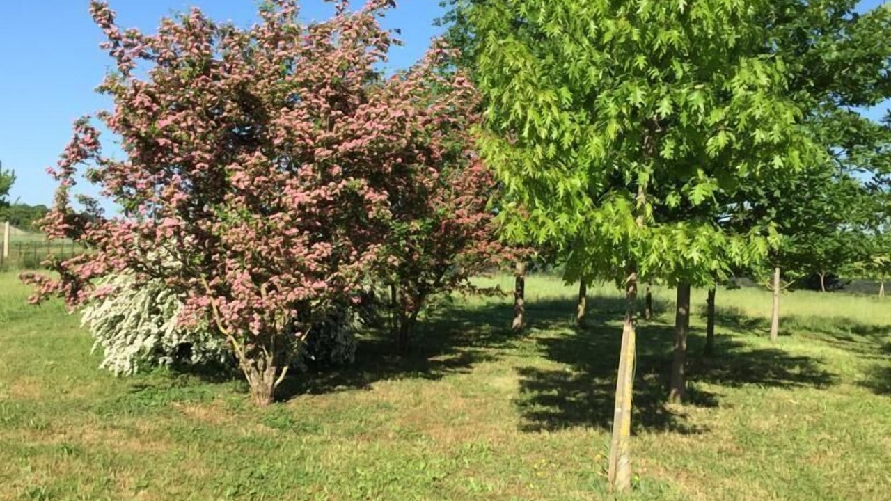 Photo of Outdoor in Volta Mantovana