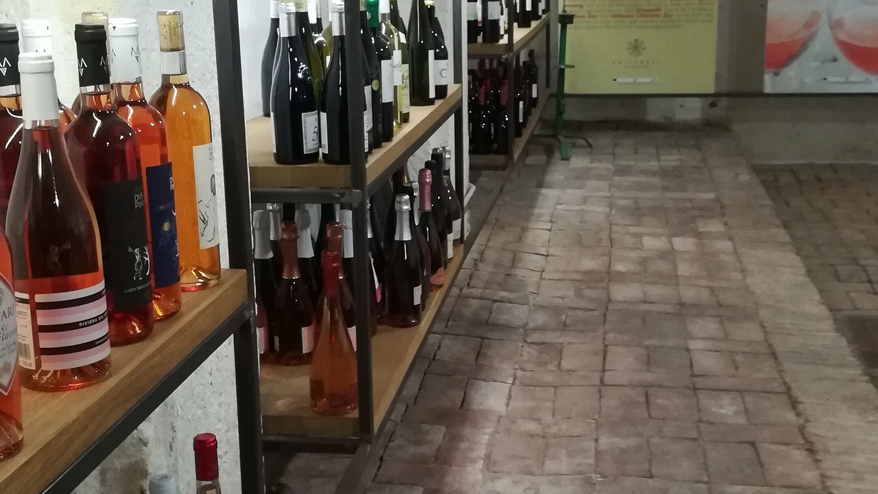 Photo of Others in Portese