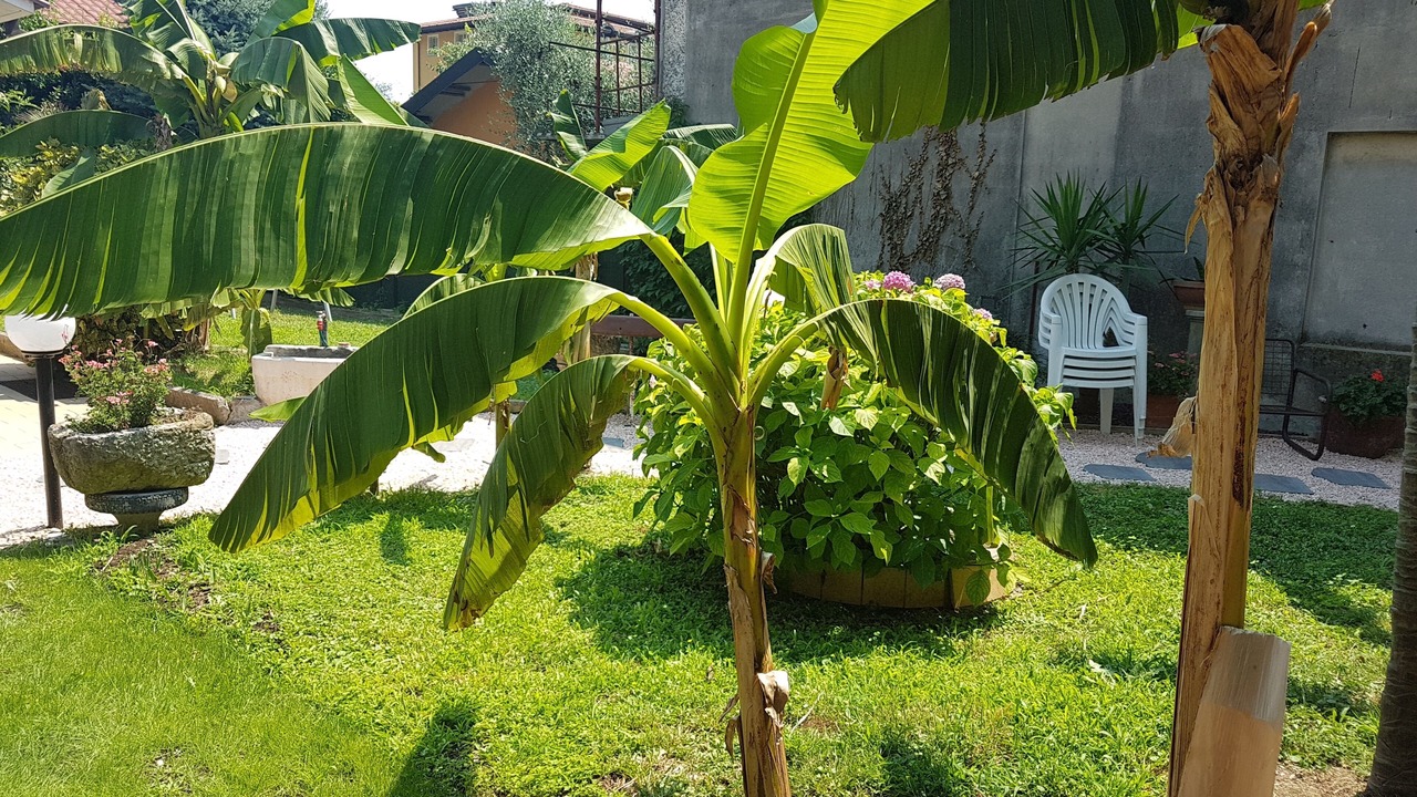 Photo of Outdoor in Barbarano