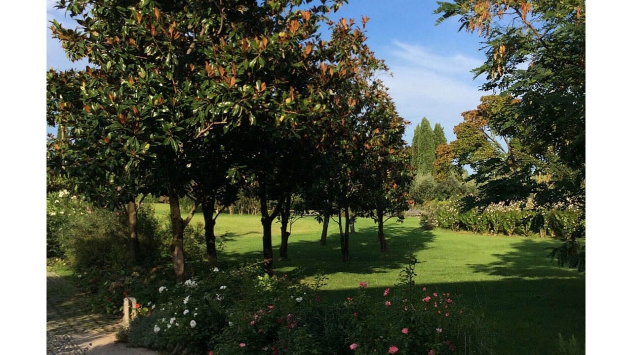 Photo of Outdoor in Puegnago del Garda