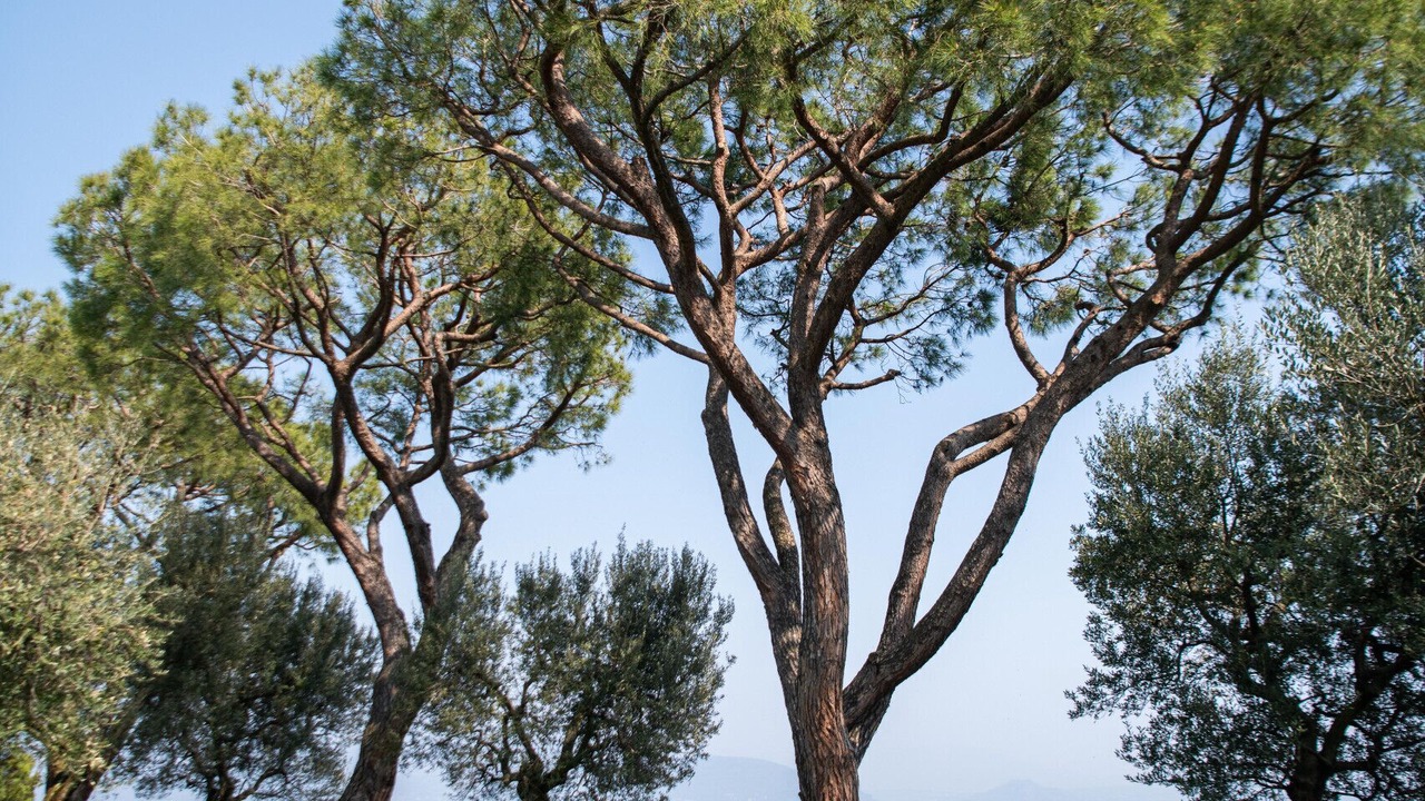 Photo of Outdoor in Manerba del Garda