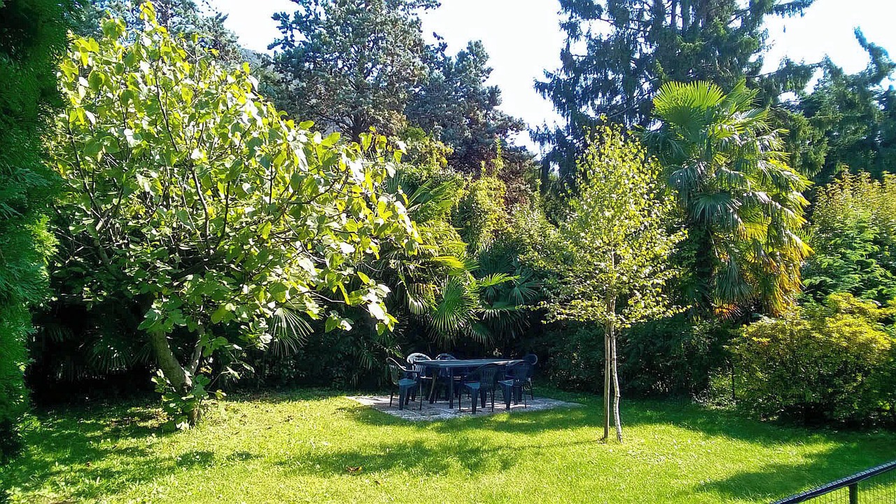 Photo of Outdoor in Maccagno