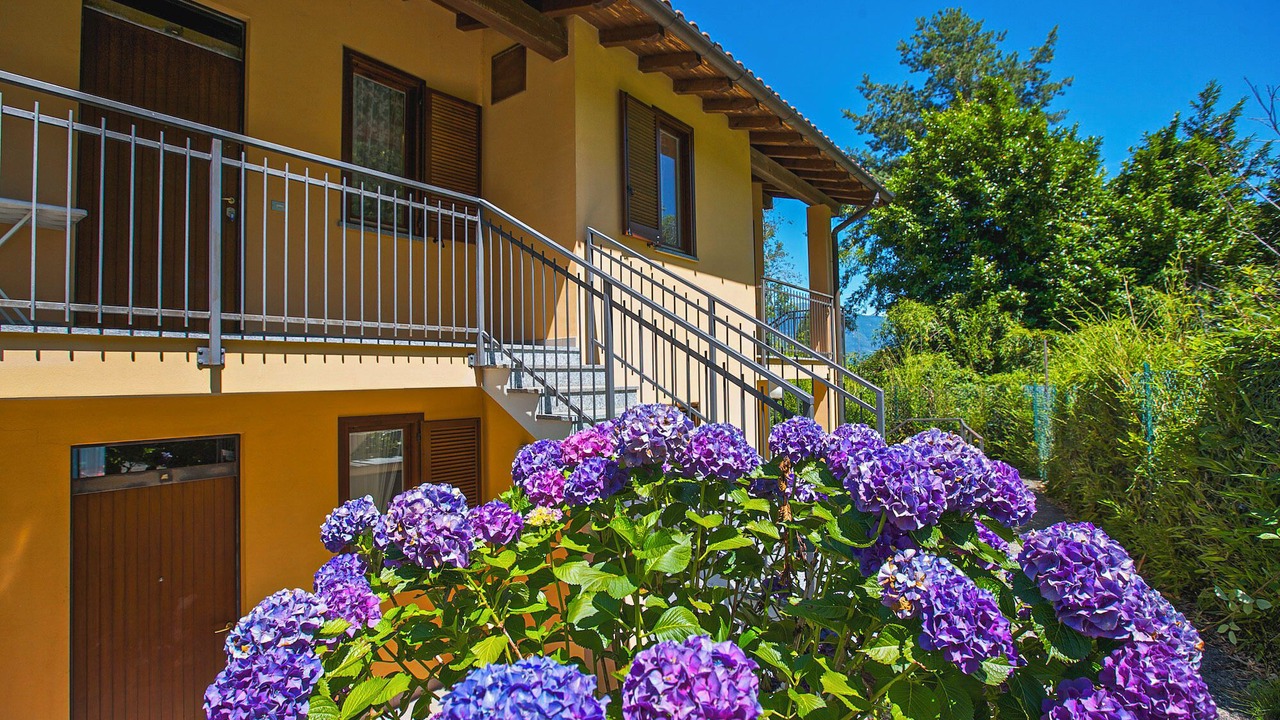 Photo of Outdoor in Maccagno con Pino e Veddasca