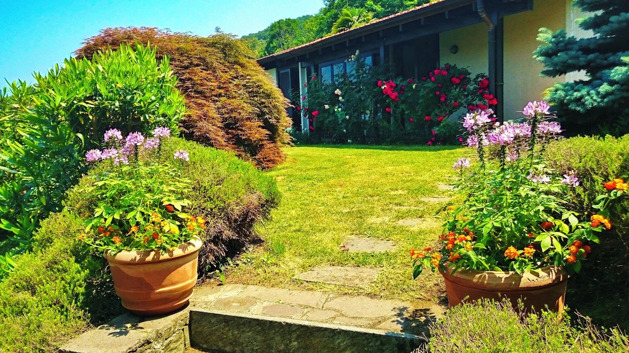 Photo of Outdoor in Castelveccana