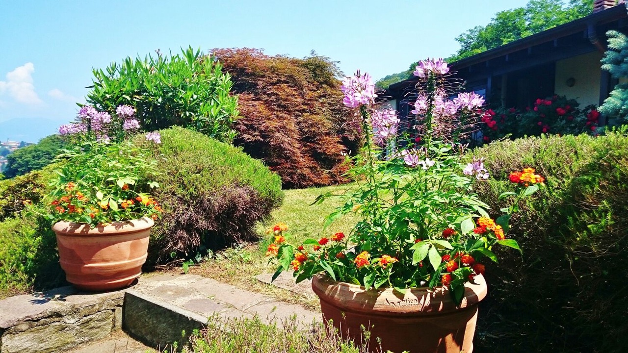 Photo of Outdoor in Castelveccana
