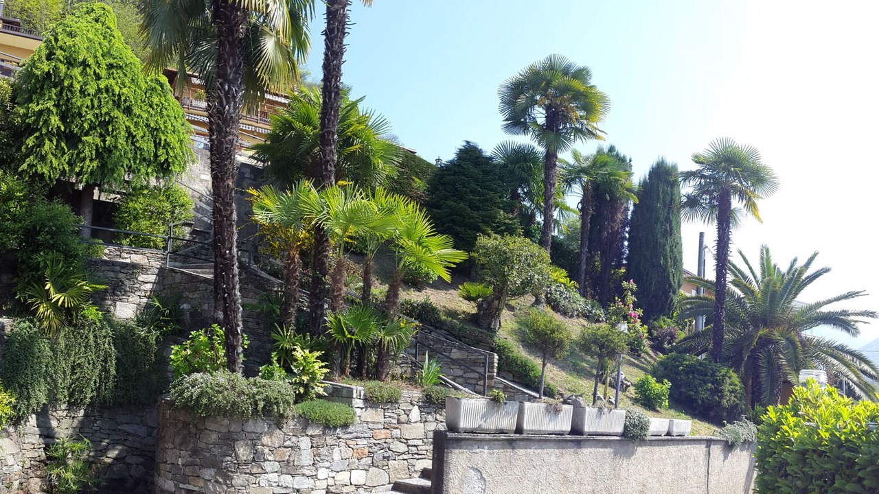 Photo of Outdoor in Maccagno