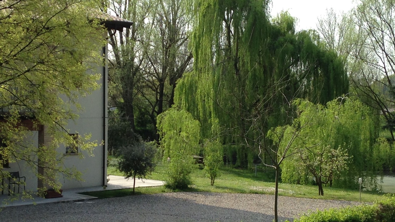 Photo of Outdoor in Monzambano