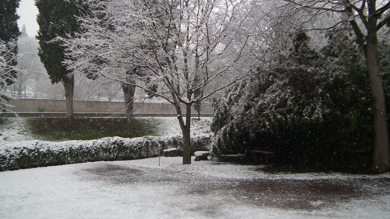 Photo of Outdoor in Monzambano