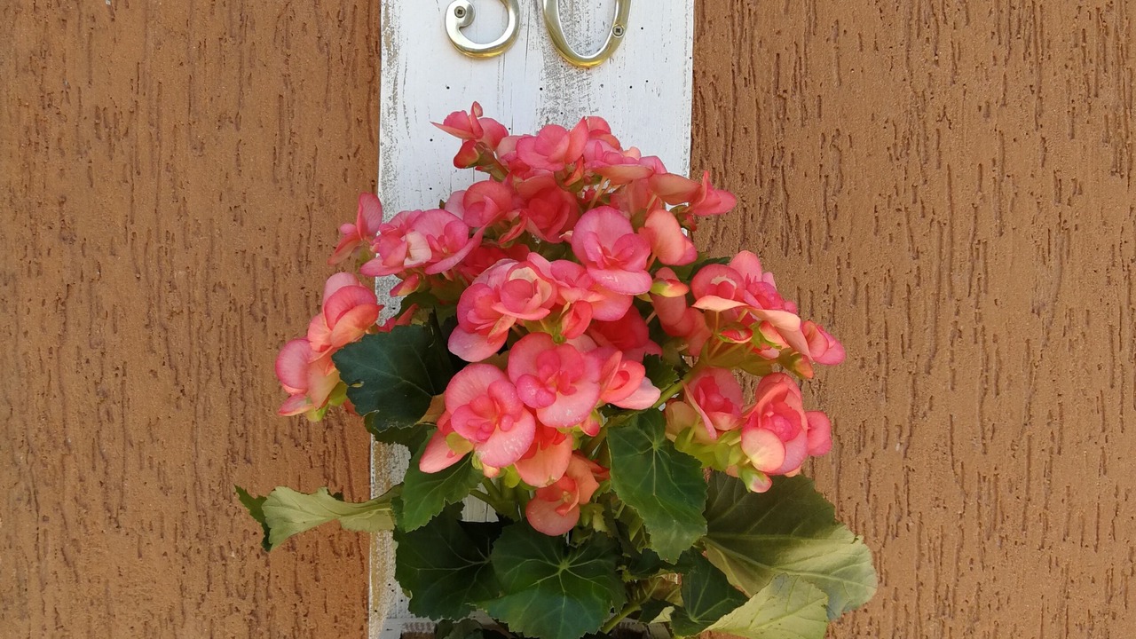 Photo of Outdoor in Cunettone-villa