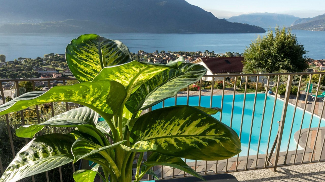 Photo of Outdoor in Vercana