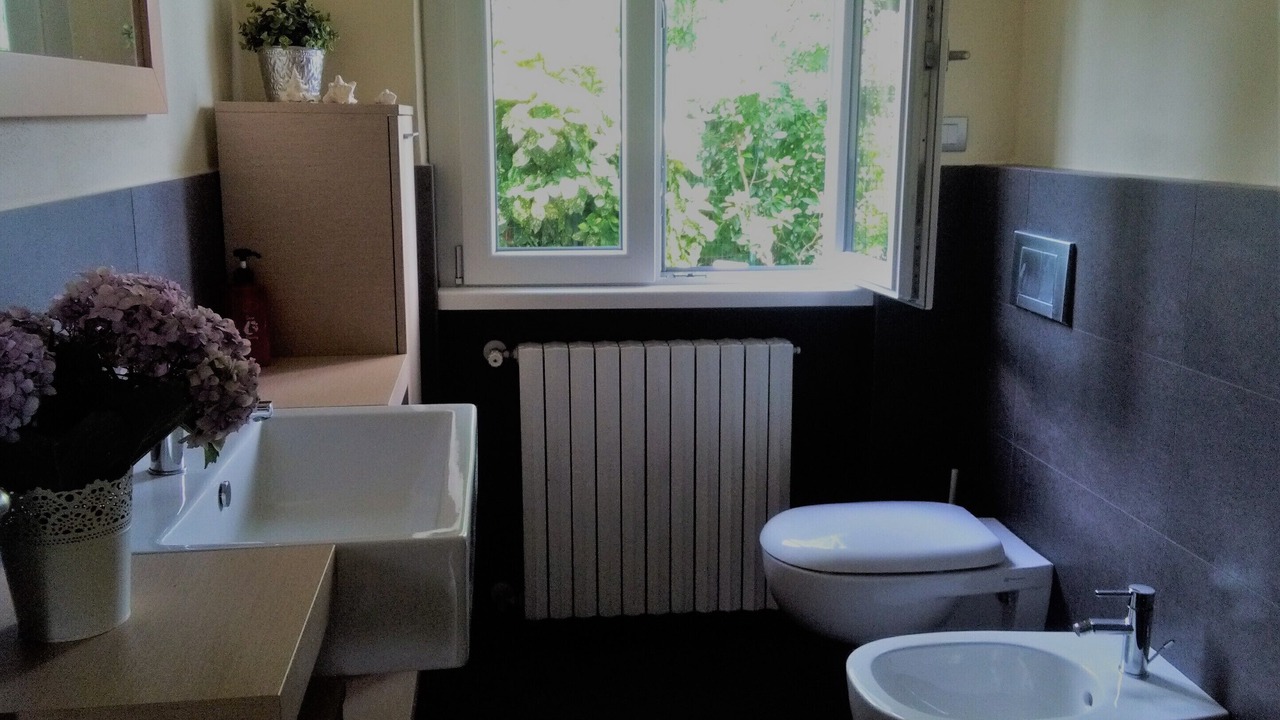 Photo of Bathroom in Monvalle