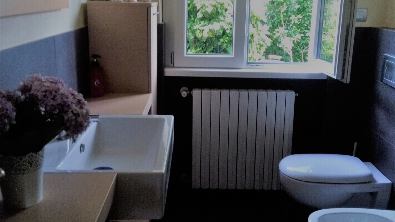 Photo of Bathroom in Monvalle
