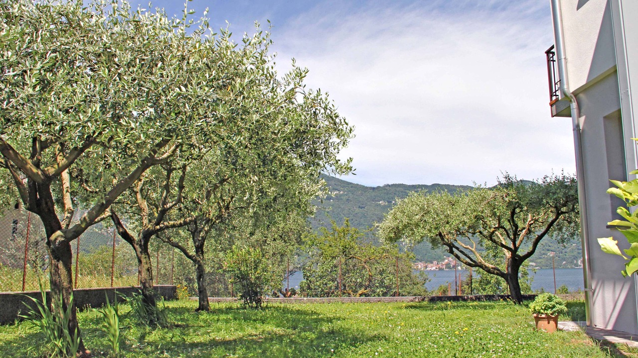 Photo of Outdoor in Mandello del Lario