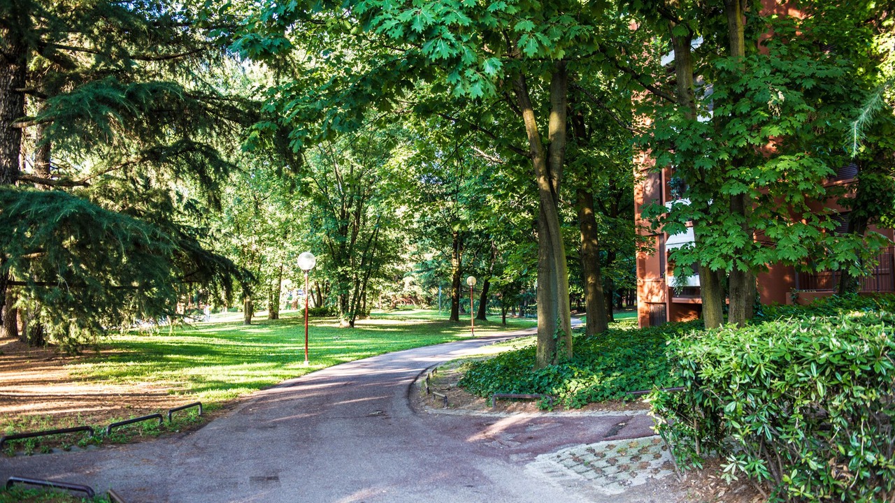 Photo of Outdoor in Milano 3
