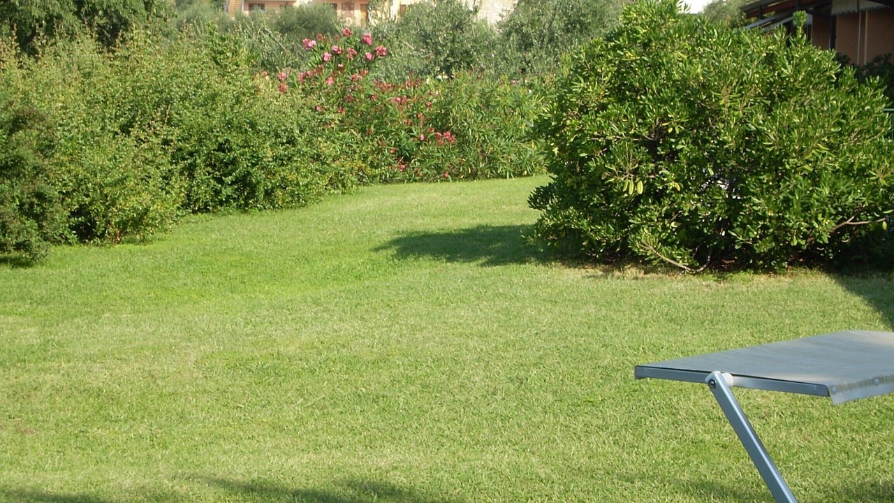 Photo of Outdoor in Renzano