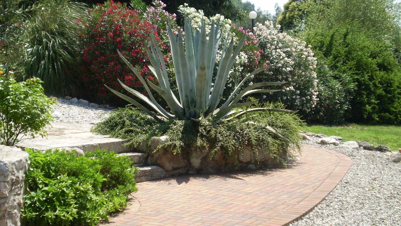 Photo of Outdoor in Renzano