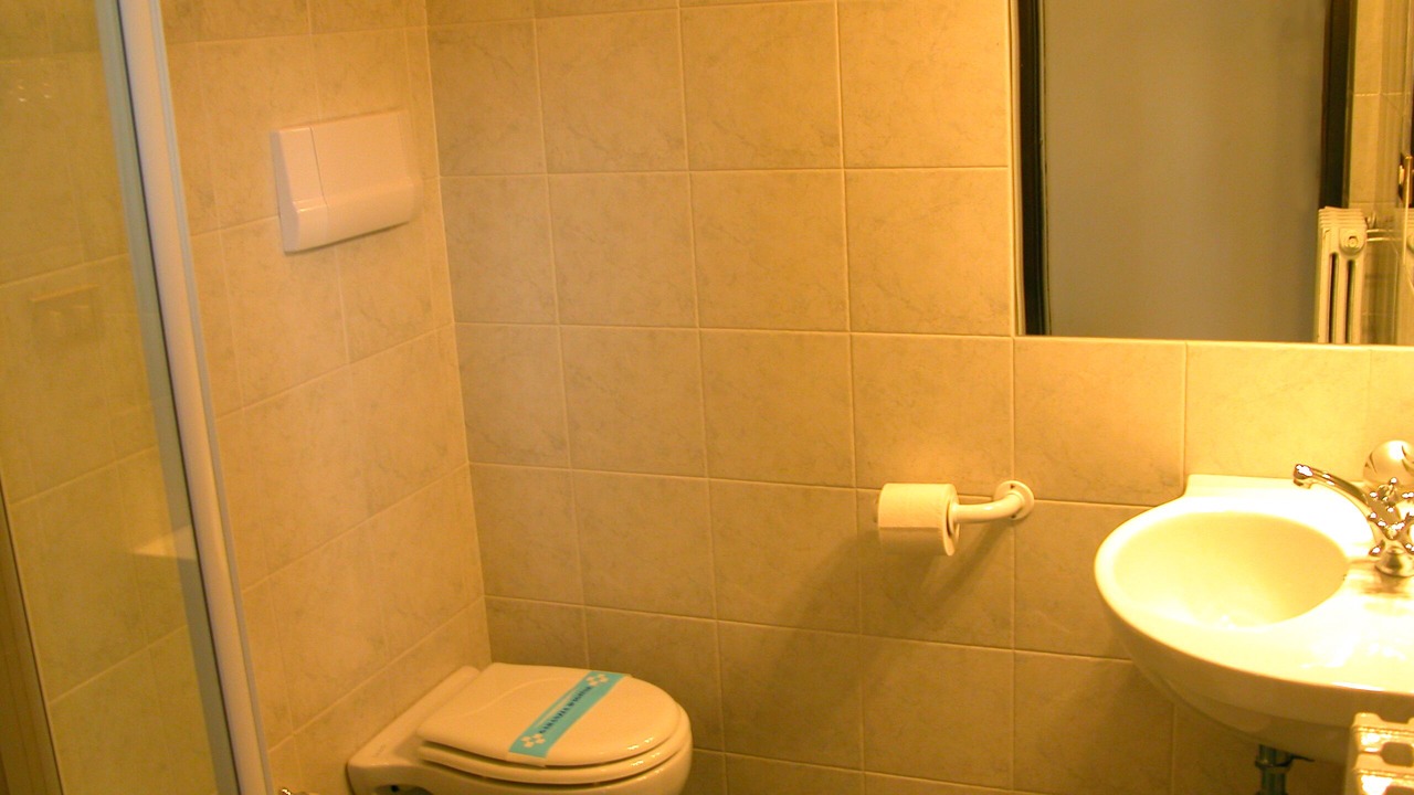 Photo of Bathroom in Domaso