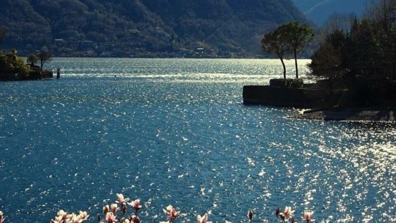 Photo of Others in Como