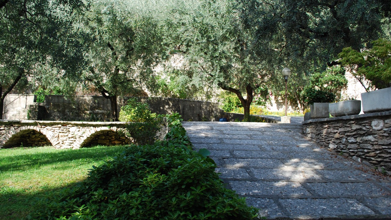 Photo of Outdoor in Cecina