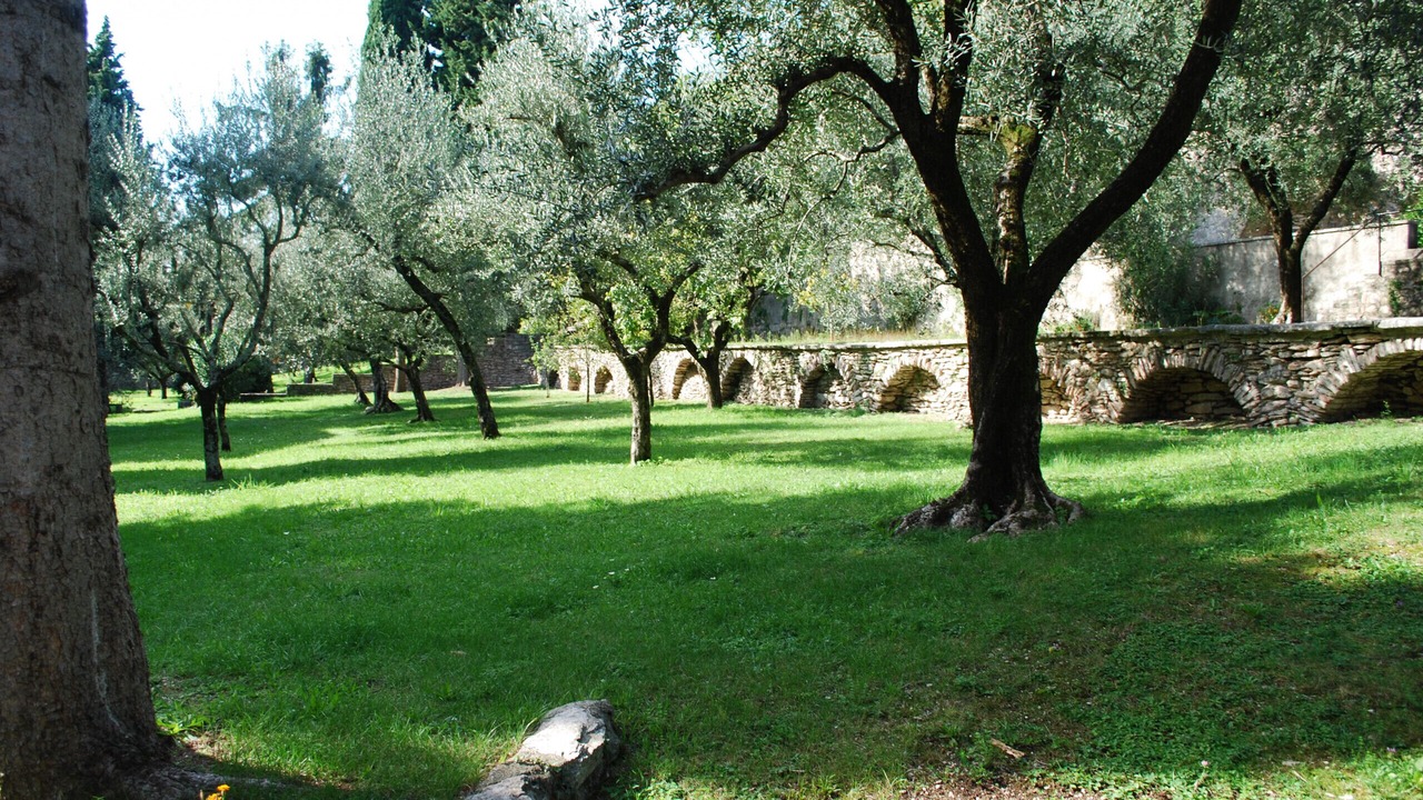 Photo of Outdoor in Cecina