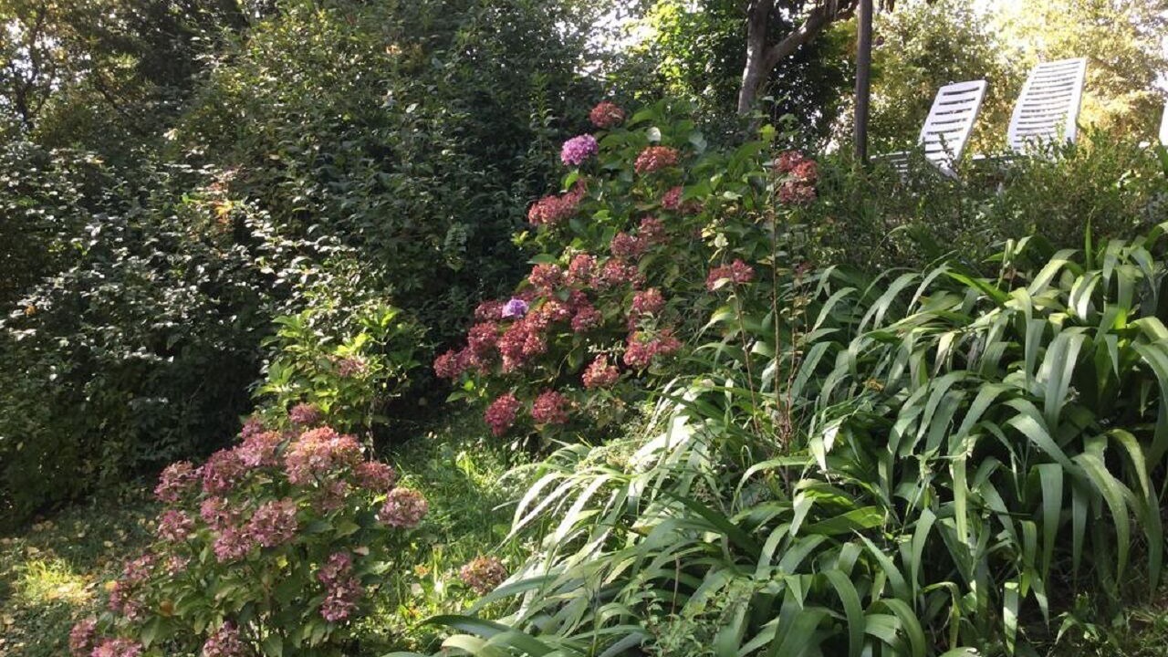 Photo of Outdoor in Pisogne