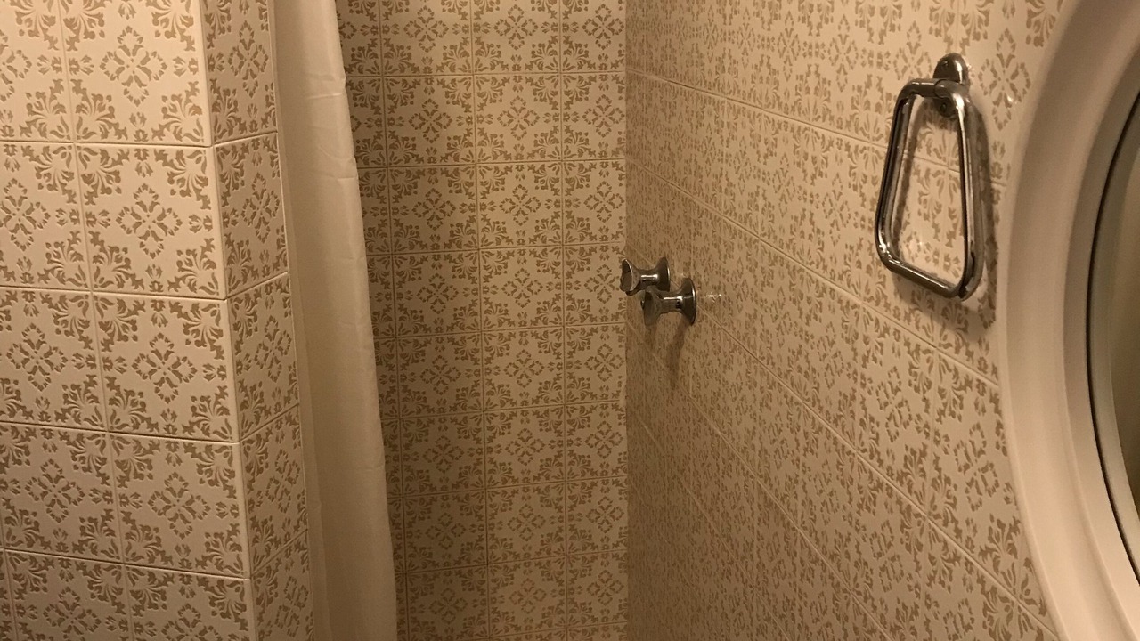 Photo of Bathroom in Aprica
