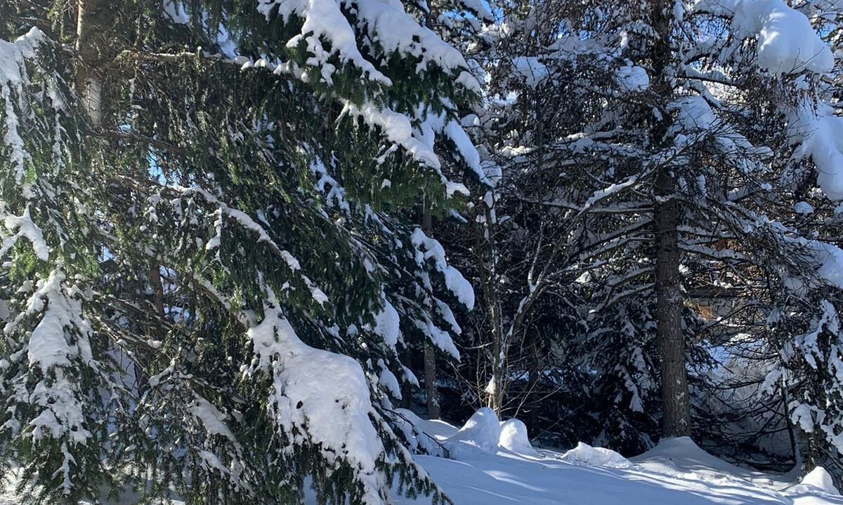 Photo of Outdoor in Teola
