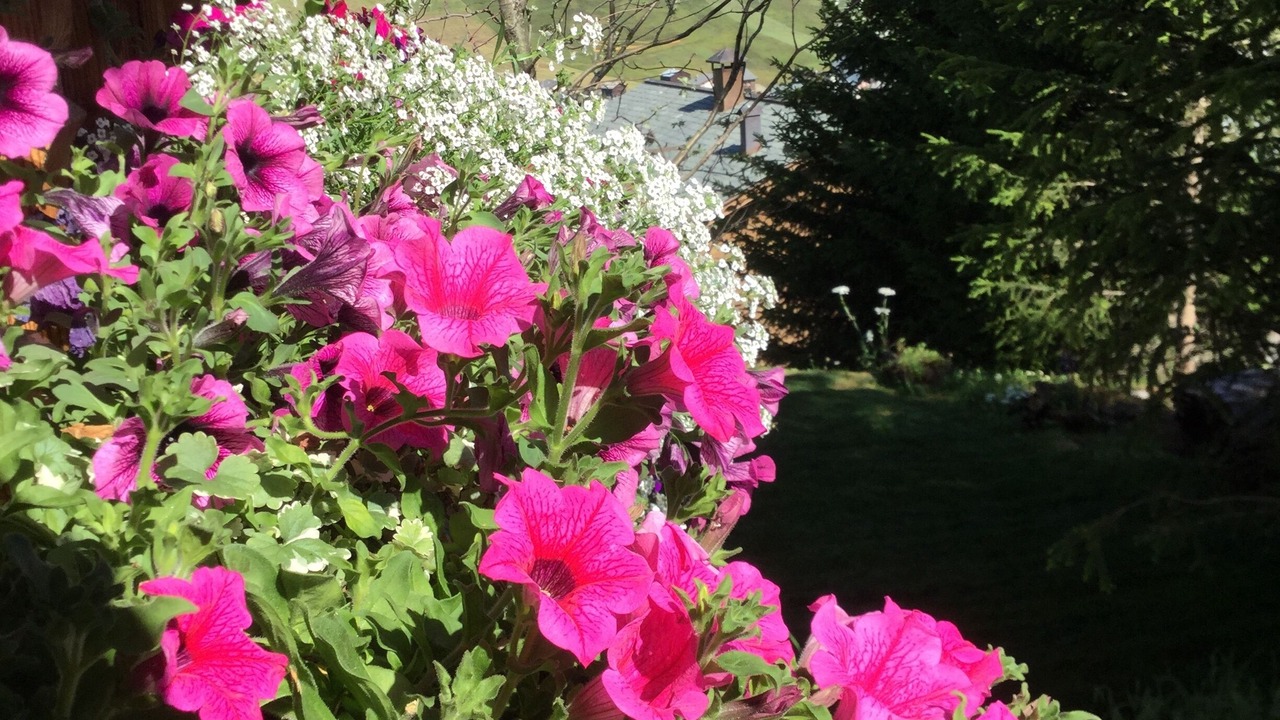 Photo of Outdoor in Teola