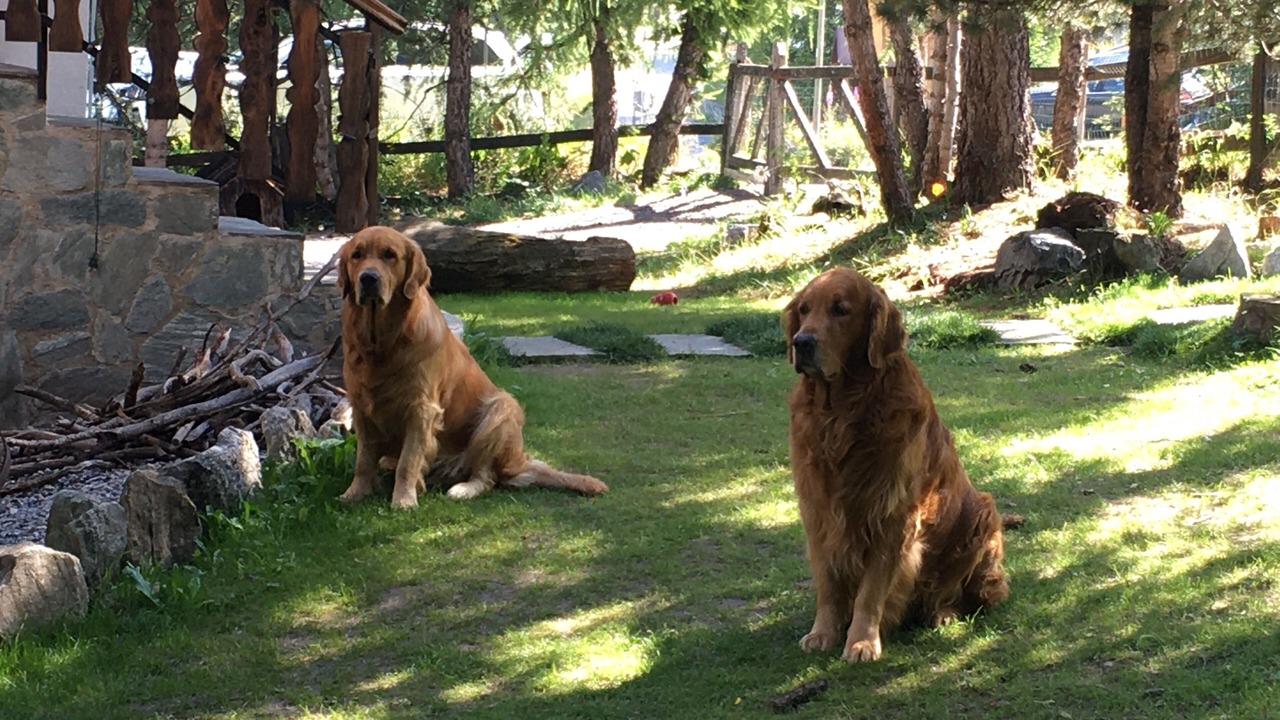 Photo of Outdoor in Teola