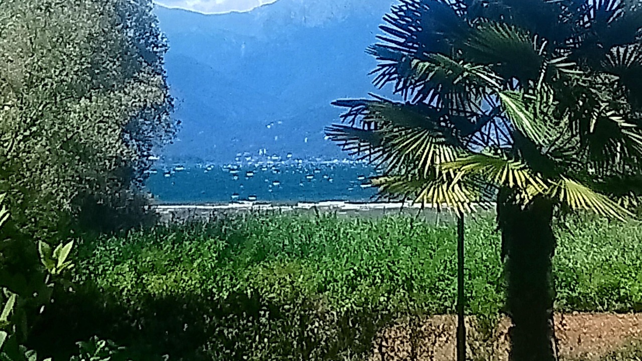 Photo of Outdoor in Ispra
