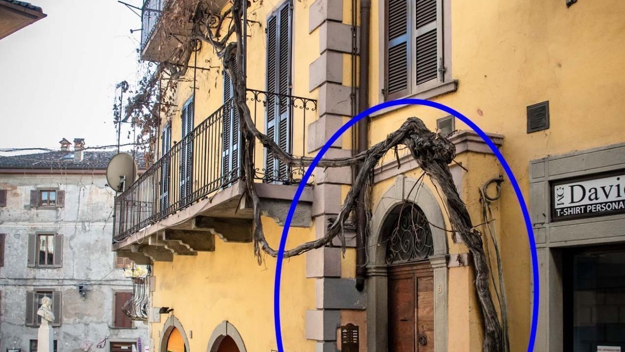 Photo of Outdoor in Lovere Old Town