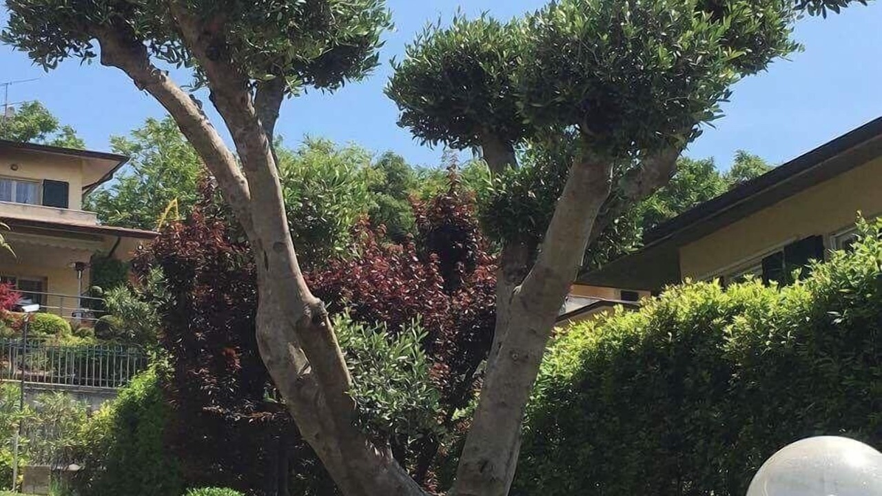 Photo of Outdoor in Pozzolengo