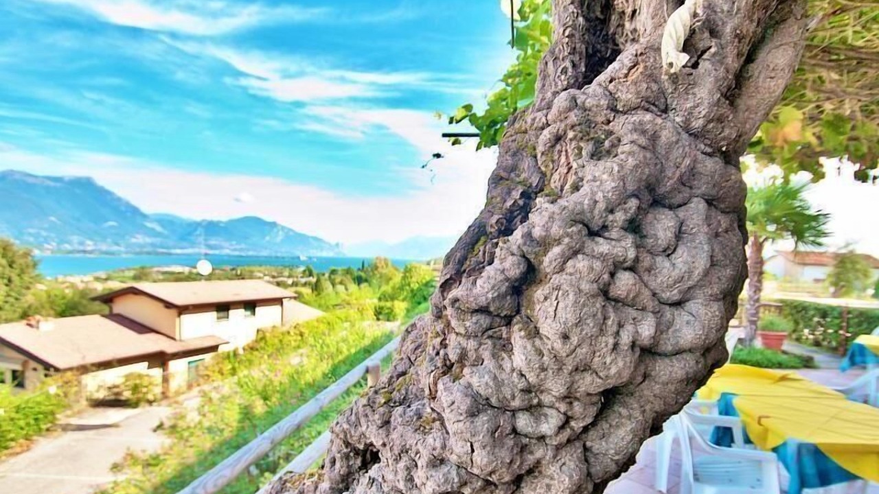 Photo of Outdoor in Manerba del Garda