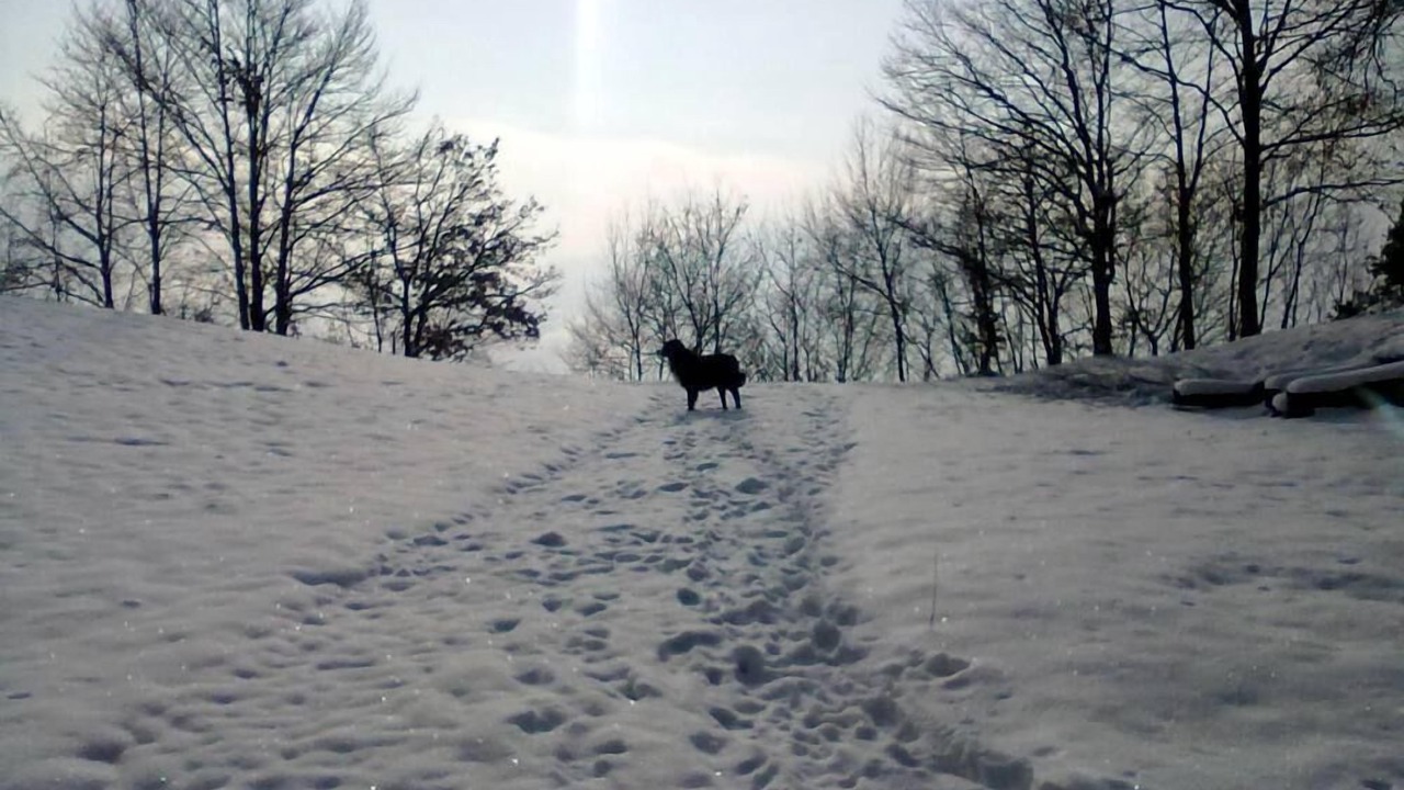 Photo of Outdoor in Solto Collina