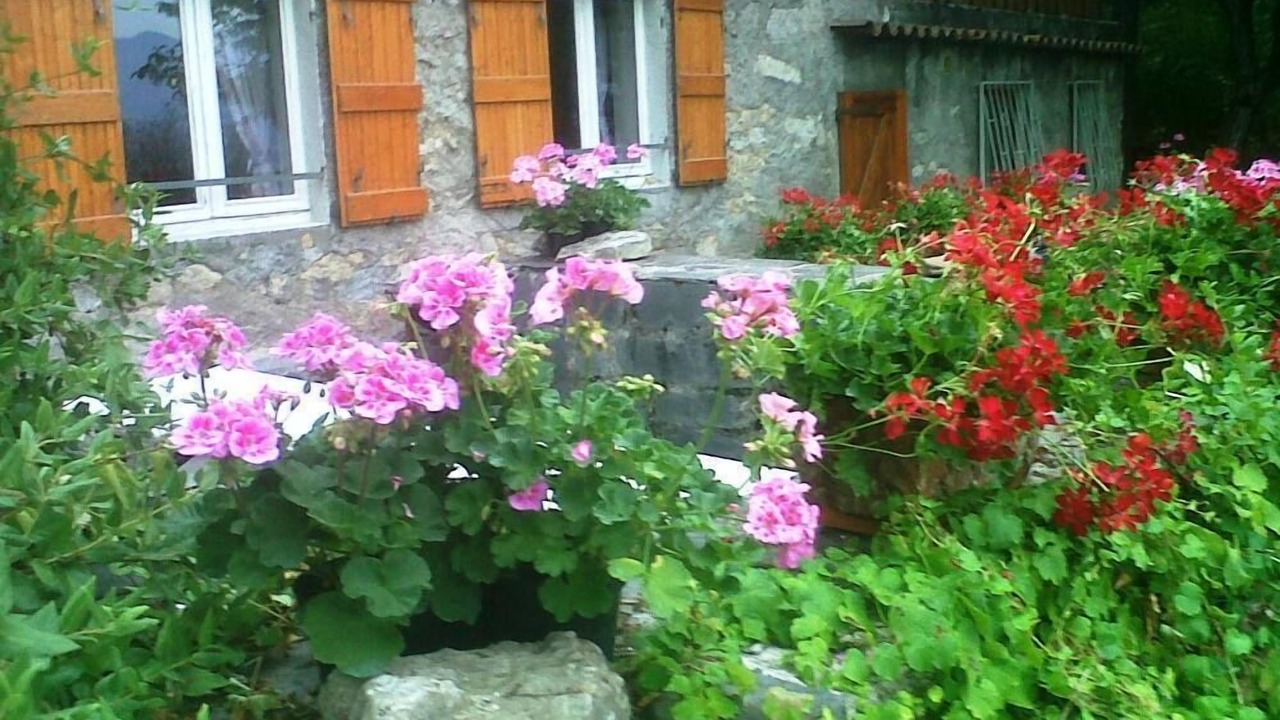 Photo of Others in Solto Collina