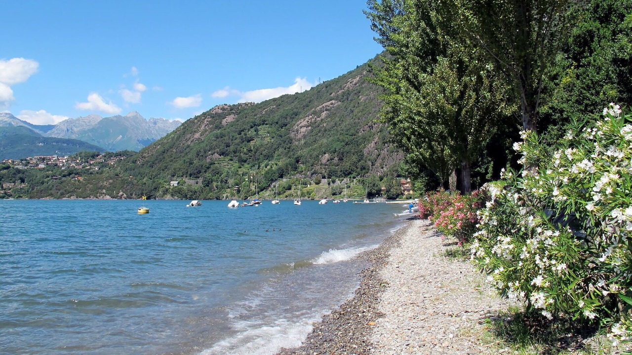 Photo of Others in Olgiasca
