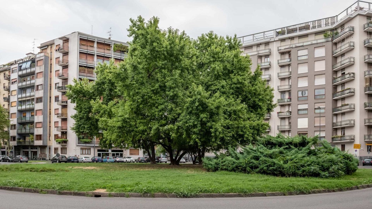 Photo of Outdoor in Navigli