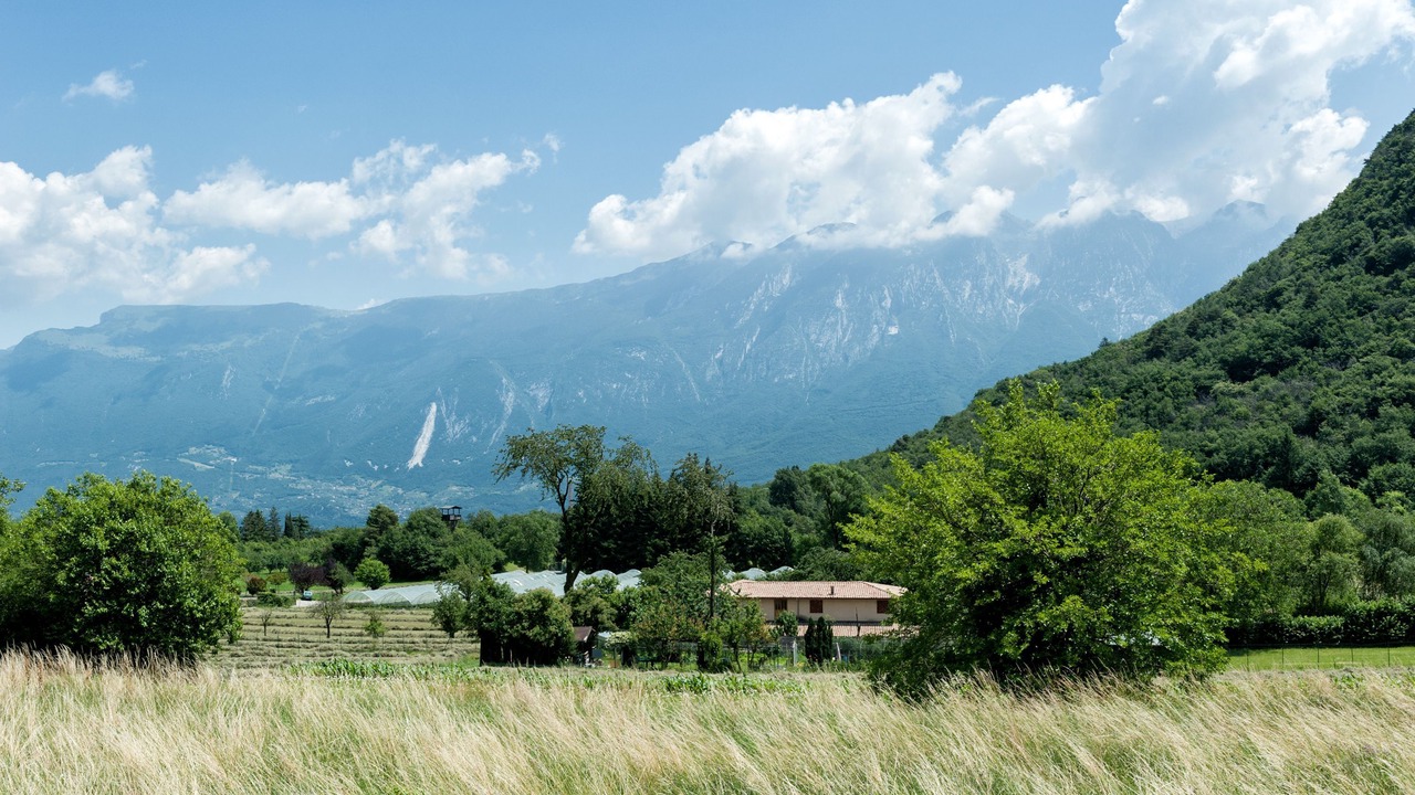Photo of Others in Prabione