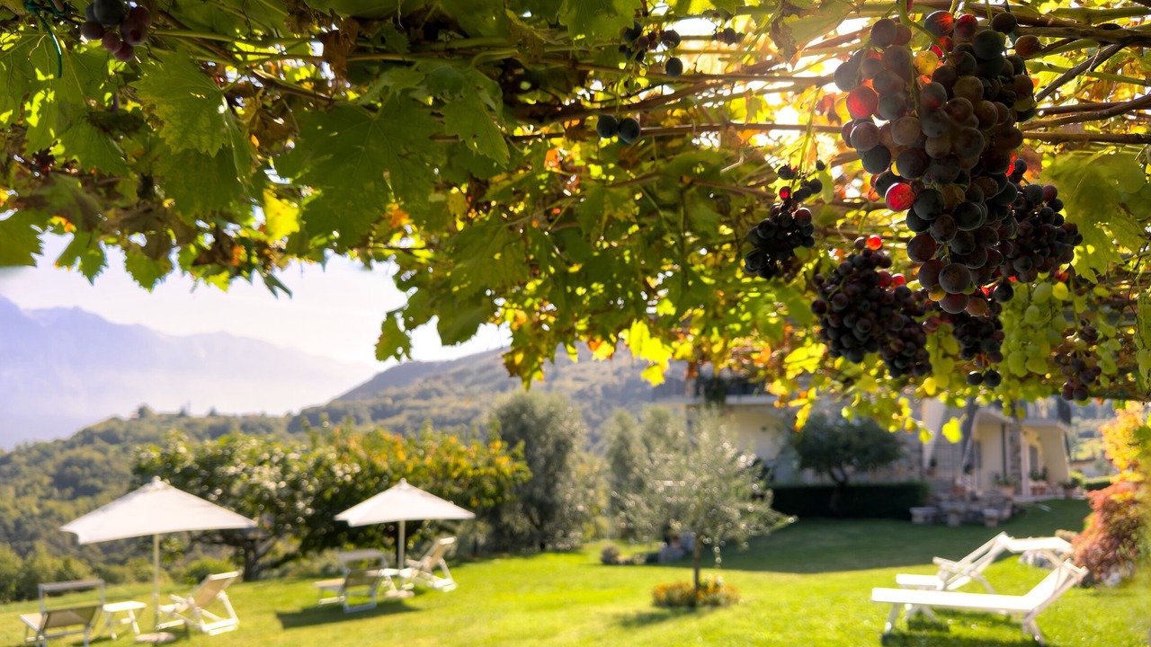 Photo of Outdoor in Voiandes