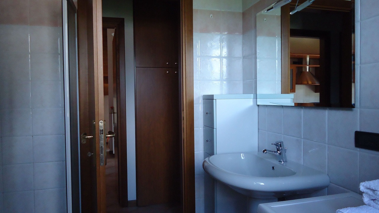 Photo of Bathroom in Idro