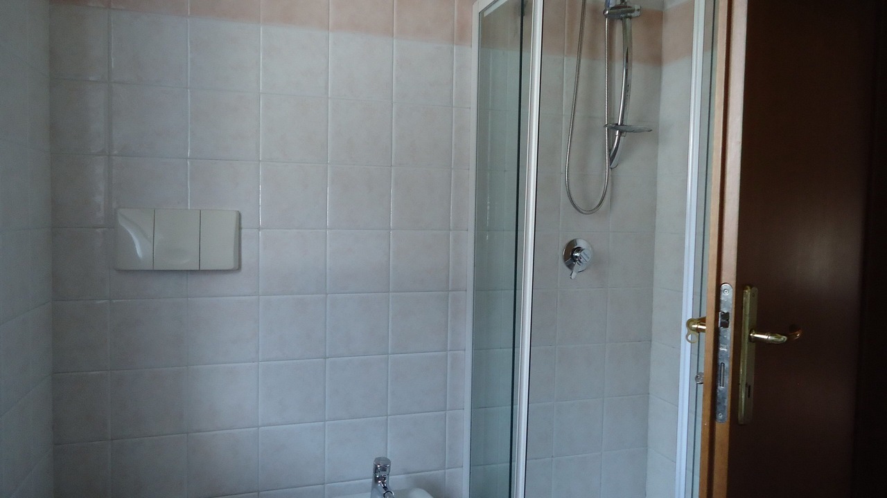 Photo of Bathroom in Idro
