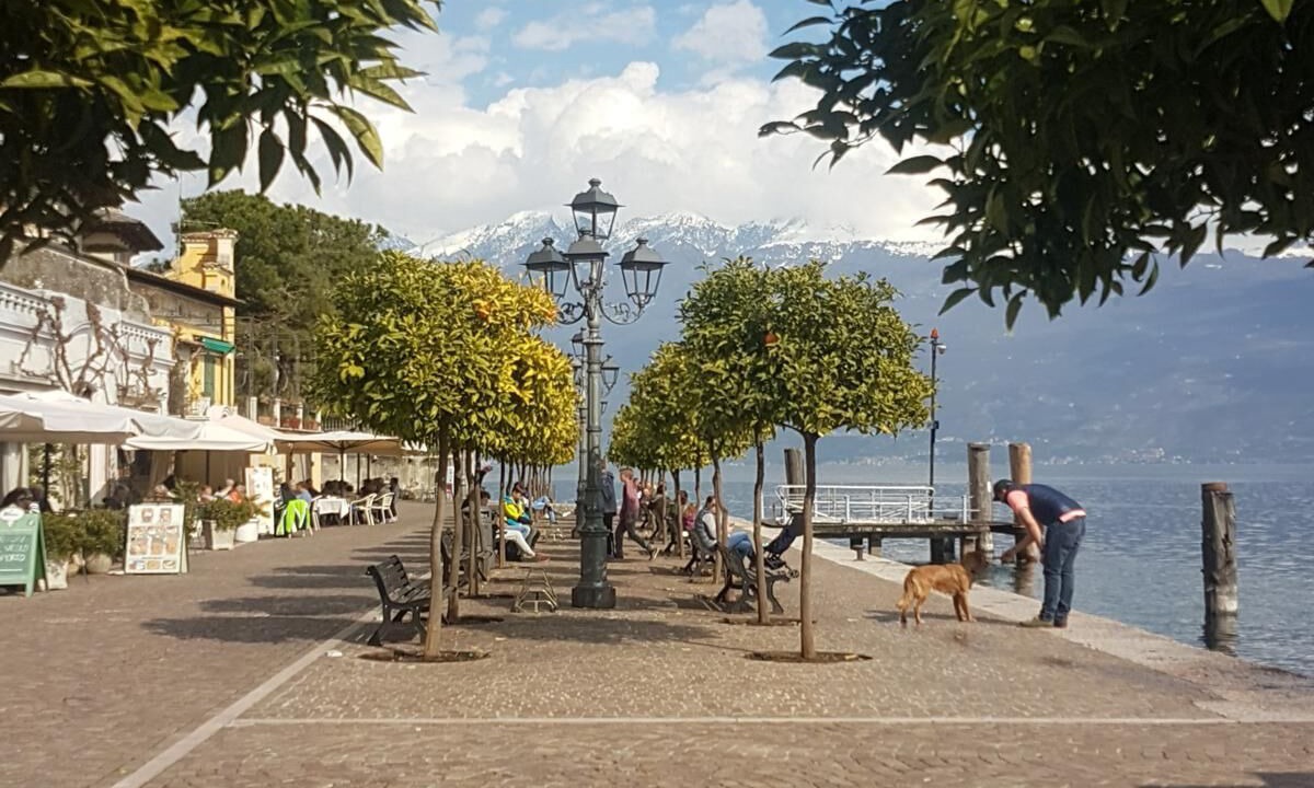 Photo of Others in Bogliaco
