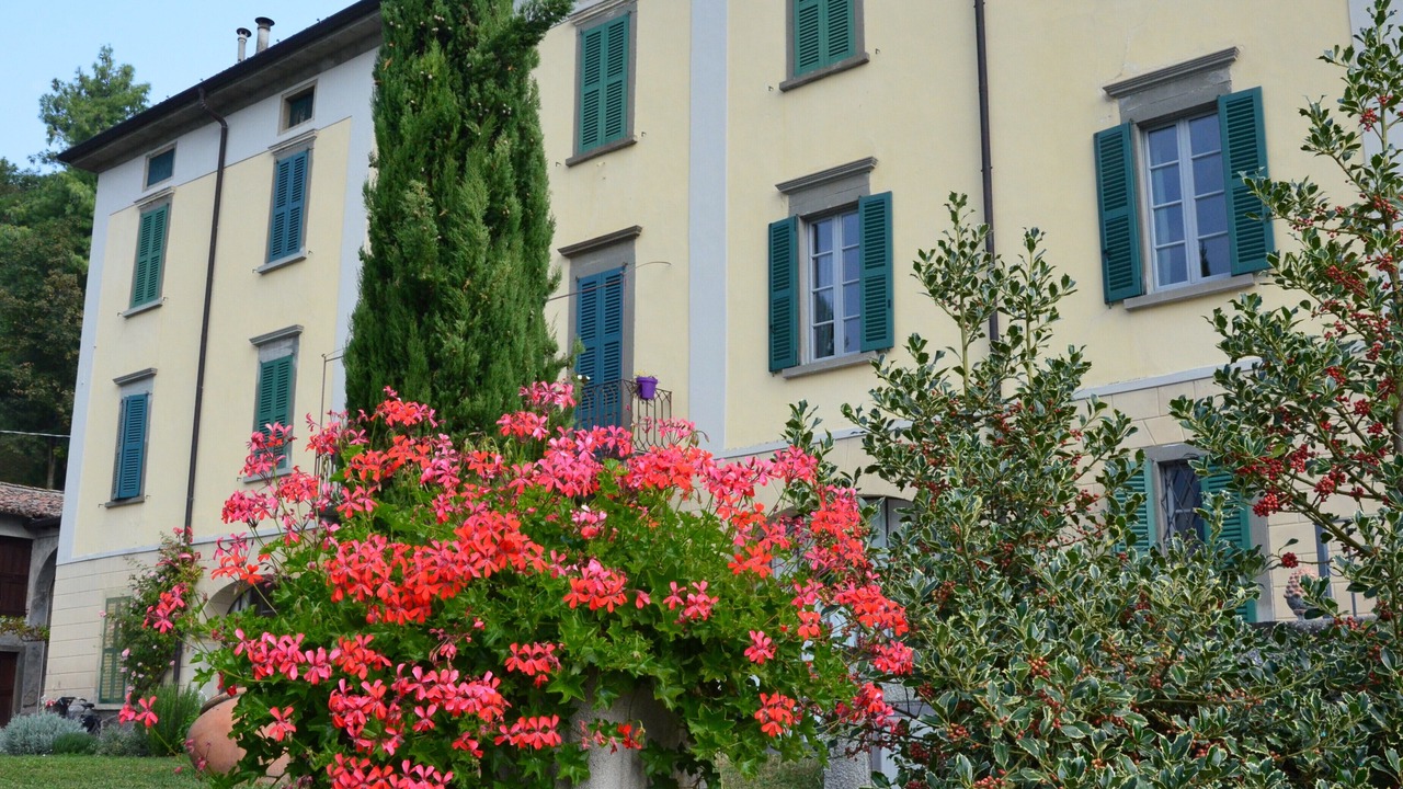 Photo of Outdoor in Solto Collina