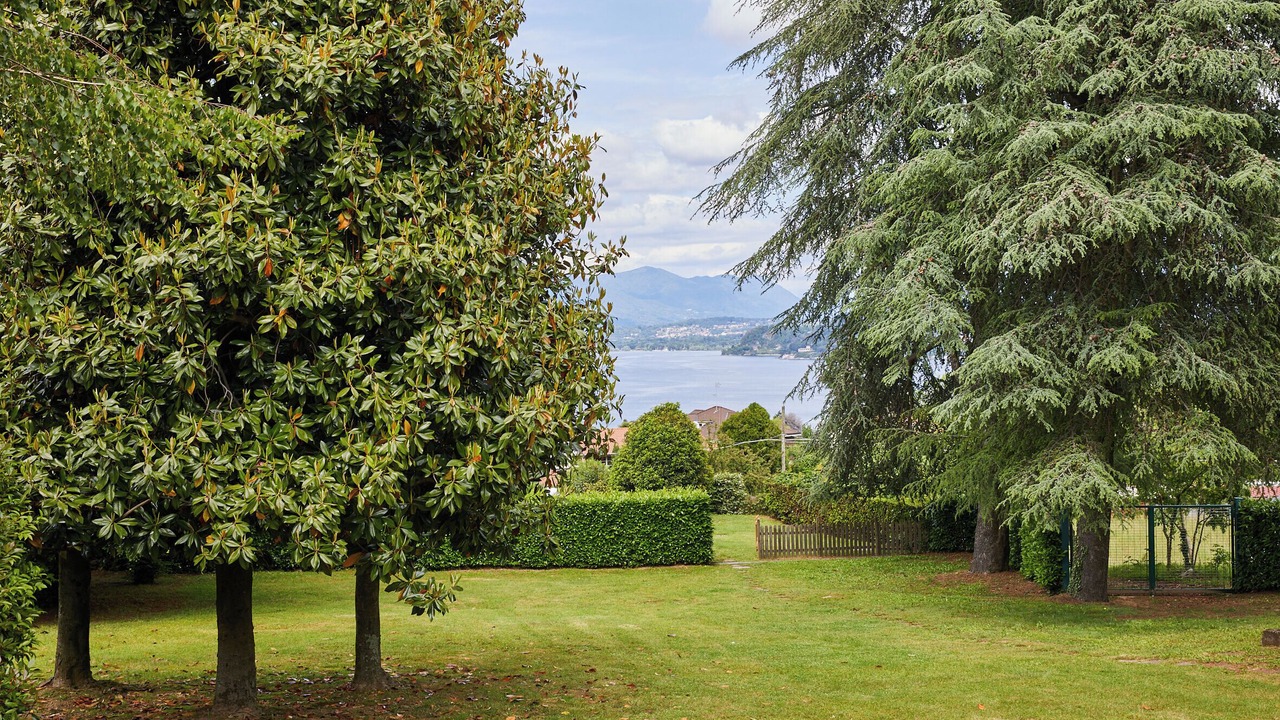 Photo of Outdoor in Ranco
