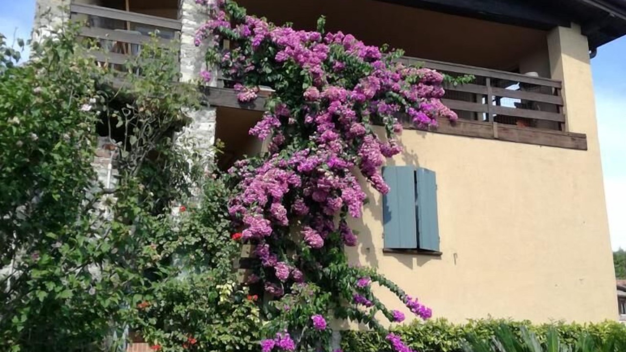 Photo of Outdoor in Gardone Riviera