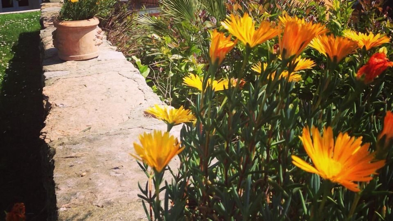 Photo of Outdoor in Toscolano Maderno